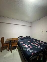 Blk 115 Bukit Purmei Road (Bukit Merah), HDB 4 Rooms #624560091